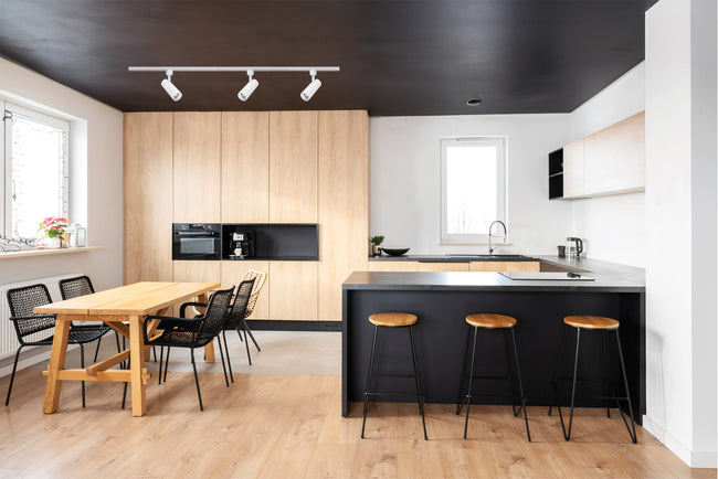 Nuvo Lighting-TH731|ALT|5