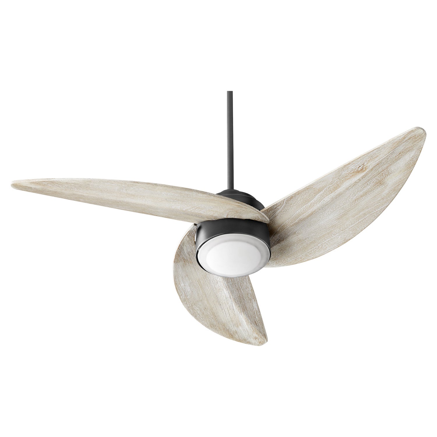 Quorum - 41523-69 - LED Ceiling Fan - Trinity - Textured Black from Lighting & Bulbs Unlimited in Charlotte, NC