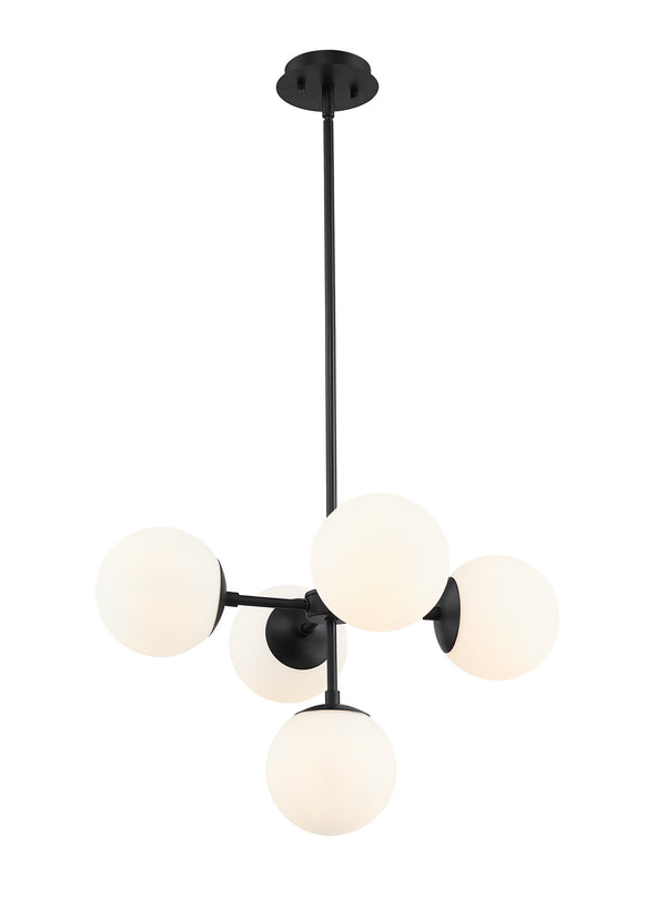 Z-Lite - 730-5MB - Five Light Pendant - Midnetic - Matte Black from Lighting & Bulbs Unlimited in Charlotte, NC