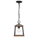 One Light Mini Pendant from the Teagan Collection in Natural Black Finish by Golden