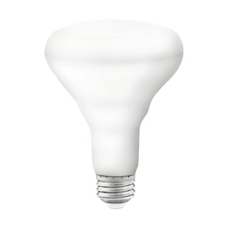 Satco - S11255 - Light Bulb - White from Lighting & Bulbs Unlimited in Charlotte, NC