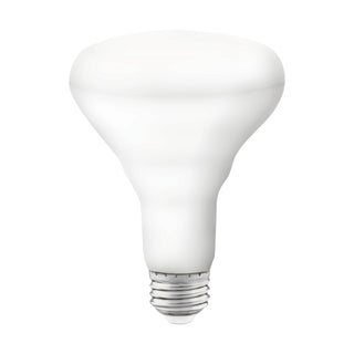 Satco - S11257 - Light Bulb - White from Lighting & Bulbs Unlimited.