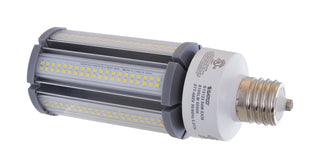 Satco - S13123 - Light Bulb - Clear from Lighting & Bulbs Unlimited in Charlotte, NC