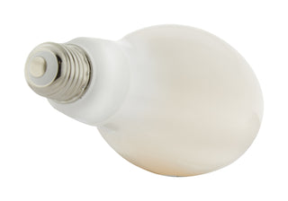 Satco - S13130 - Light Bulb - White from Lighting & Bulbs Unlimited.