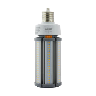 Satco - S13141 - Light Bulb - Clear from Lighting & Bulbs Unlimited in Charlotte, NC