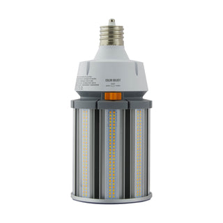 Satco - S13145 - Light Bulb - Clear from Lighting & Bulbs Unlimited in Charlotte, NC