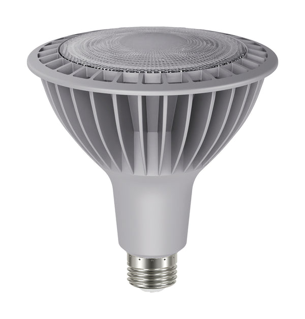 Satco - S22250 - Light Bulb - Silver from Lighting & Bulbs Unlimited in Charlotte, NC