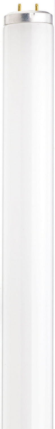 Satco - S26565 - Light Bulb - White from Lighting & Bulbs Unlimited in Charlotte, NC