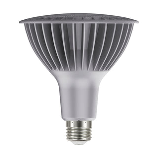 Satco - S29761 - Light Bulb - Silver from Lighting & Bulbs Unlimited in Charlotte, NC
