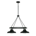 Four Light Chandelier from the Jones Collection in Matte Black Finish by Capital Lighting