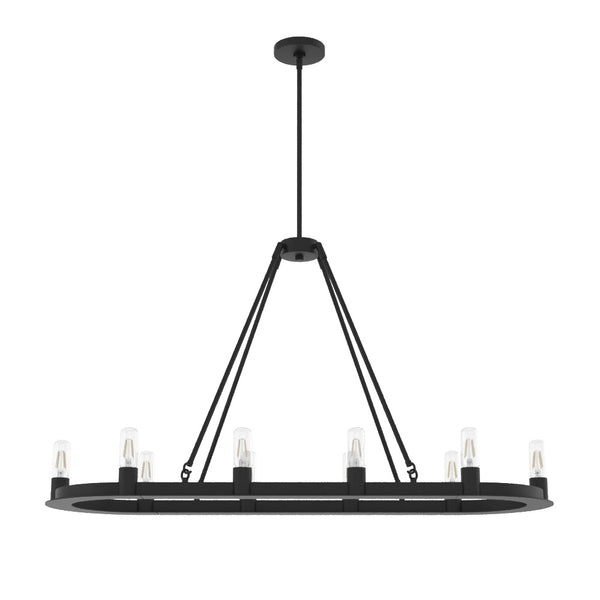 Hunter - 19027 - Ten Light Chandelier - Saddlewood - Natural Black Iron from Lighting & Bulbs Unlimited in Charlotte, NC
