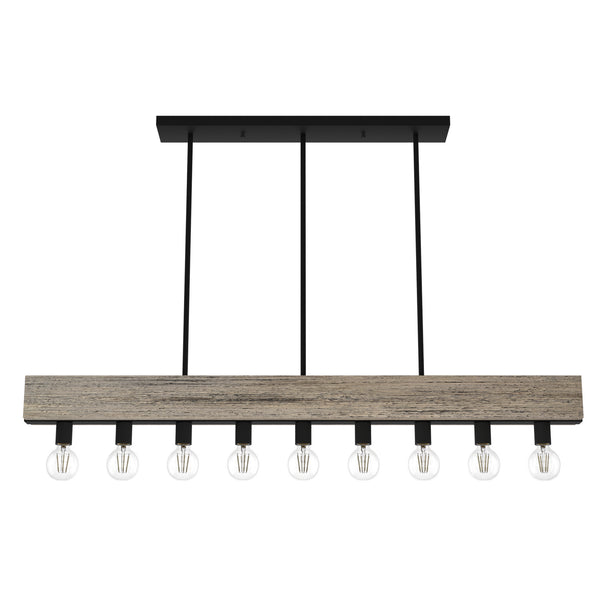 Hunter - 19060 - Nine Light Linear Chandelier - Donelson - Rustic Iron from Lighting & Bulbs Unlimited in Charlotte, NC