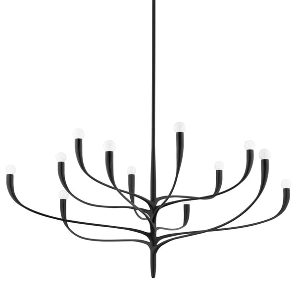 Hudson Valley - 9612-AI - 12 Light Chandelier - Labra - Aged Iron from Lighting & Bulbs Unlimited in Charlotte, NC