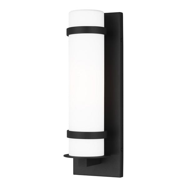 Generation Lighting - 8518301-12 - One Light Outdoor Wall Lantern - Alban - Black from Lighting & Bulbs Unlimited in Charlotte, NC
