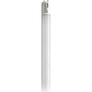 Satco - S11961 - Light Bulb - Gloss White from Lighting & Bulbs Unlimited in Charlotte, NC