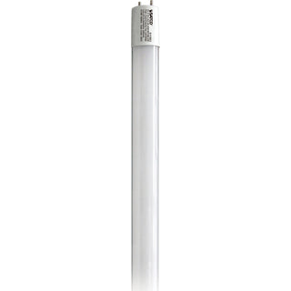 Satco - S11963 - Light Bulb - Gloss White from Lighting & Bulbs Unlimited in Charlotte, NC