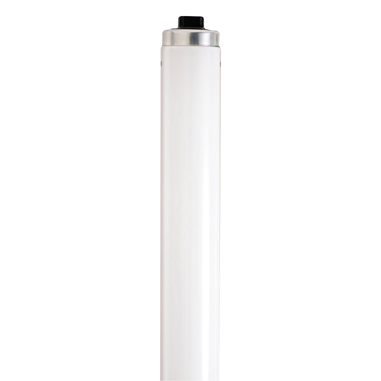 Satco - S22940 - Light Bulb - Frost from Lighting & Bulbs Unlimited in Charlotte, NC
