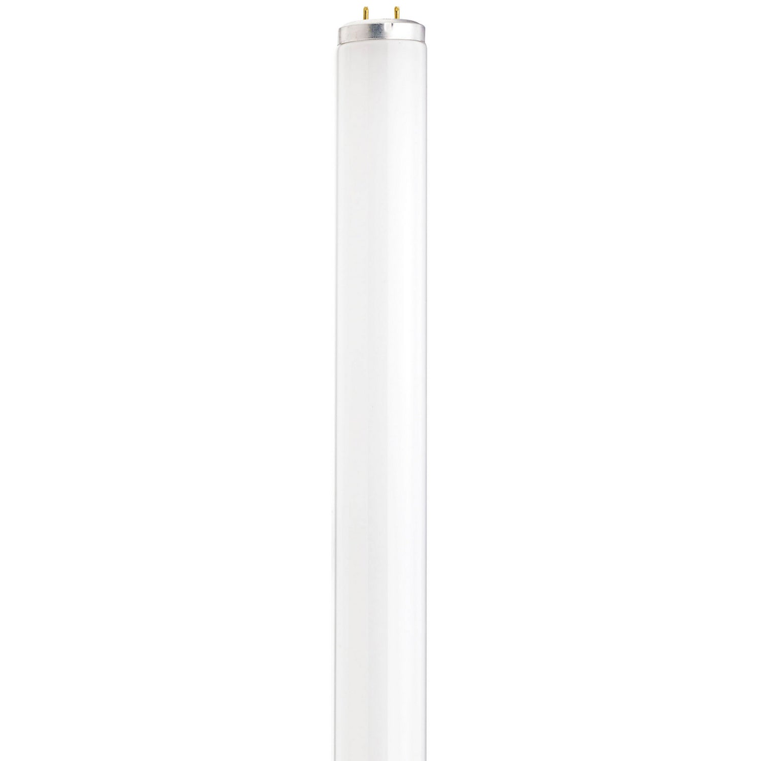 Satco - S26559 - Light Bulb - Frost from Lighting & Bulbs Unlimited in Charlotte, NC