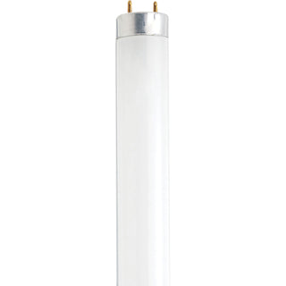 Satco - S27931 - Light Bulb - White from Lighting & Bulbs Unlimited in Charlotte, NC