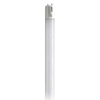 Satco - S39902 - Light Bulb - Gloss White from Lighting & Bulbs Unlimited in Charlotte, NC