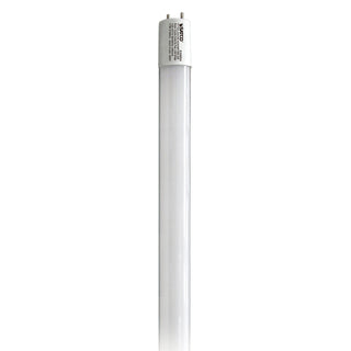 Satco - S39904 - Light Bulb - Gloss White from Lighting & Bulbs Unlimited in Charlotte, NC