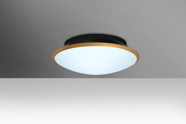 Besa - SILK12GDC-LED - LED Ceiling Mount - Silk 12 from Lighting & Bulbs Unlimited in Charlotte, NC
