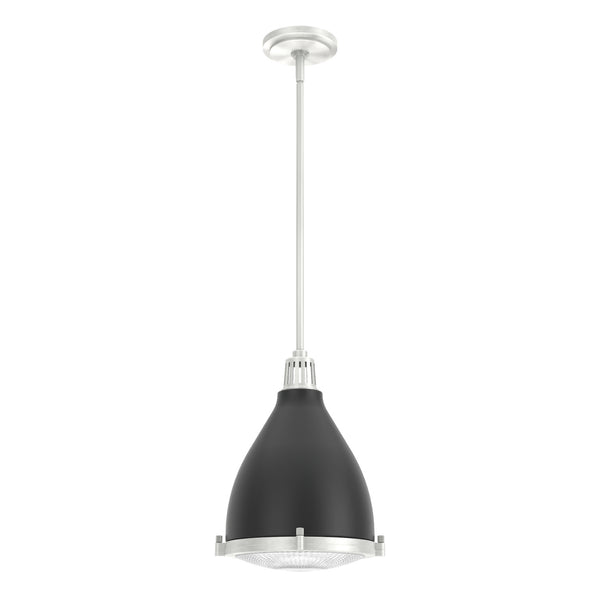 Hunter - 19218 - One Light Pendant - Bluff View - Flat Matte Black from Lighting & Bulbs Unlimited in Charlotte, NC