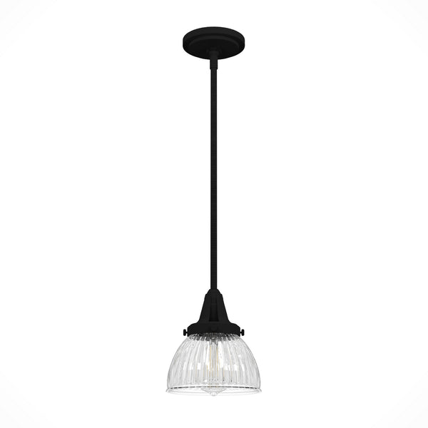 Hunter - 19229 - One Light Mini Pendant - Cypress Grove - Natural Black Iron from Lighting & Bulbs Unlimited in Charlotte, NC