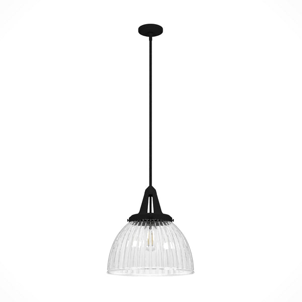 Hunter - 19251 - One Light Pendant - Cypress Grove - Natural Black Iron from Lighting & Bulbs Unlimited in Charlotte, NC