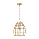 One Light Pendant from the Wren Collection in Matte Brass Finish by Capital Lighting