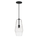 One Light Pendant from the Dena Collection in Matte Black Finish by Capital Lighting