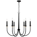 Capital Lighting - 445661KB - Six Light Chandelier - Amara - Matte Black with Brass from Lighting & Bulbs Unlimited in Charlotte, NC