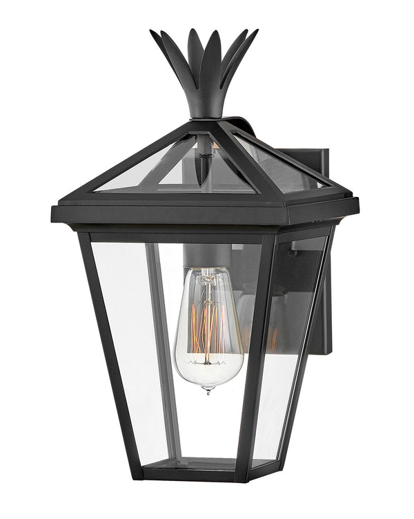 Hinkley - 26090BK - LED Wall Mount - Palma - Black from Lighting & Bulbs Unlimited in Charlotte, NC