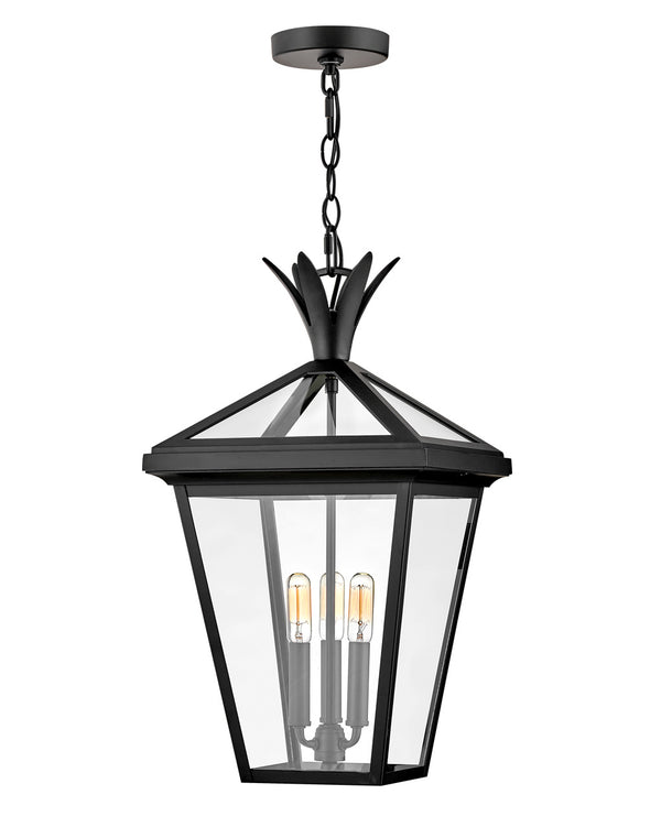 Hinkley - 26092BK - LED Hanging Lantern - Palma - Black from Lighting & Bulbs Unlimited in Charlotte, NC