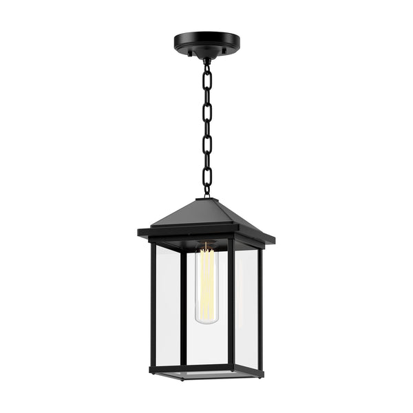Alora - EP552009BKCL - One Light Exterior Pendant - Larchmont - Textured Black/Clear Glass from Lighting & Bulbs Unlimited in Charlotte, NC
