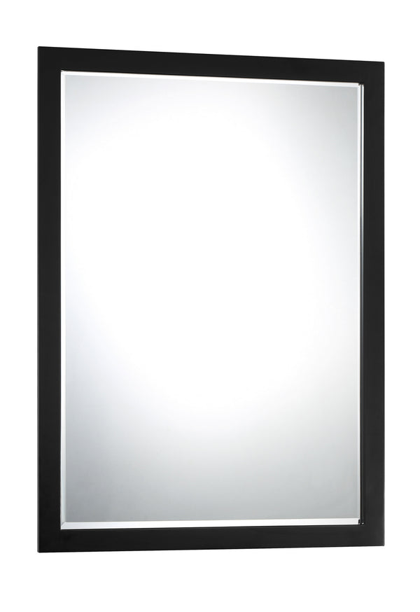 Minka-Lavery - 1430-66A - Mirror - Paradox - Coal from Lighting & Bulbs Unlimited in Charlotte, NC
