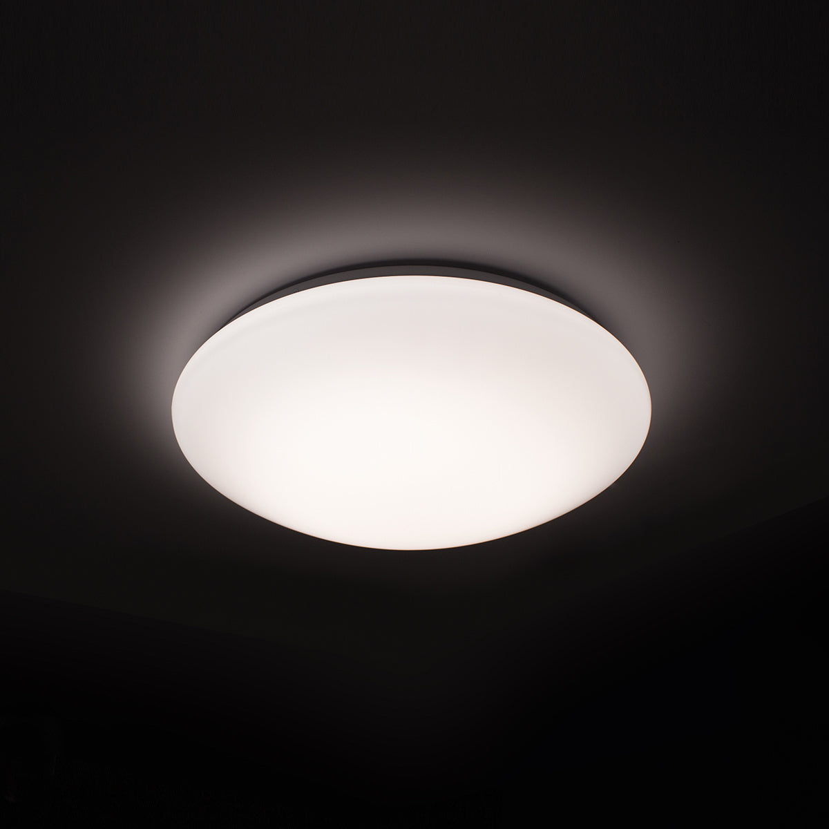 W.A.C. Lighting - FM-214-CS-WT - LED Flush Mount - Glo - White from Lighting & Bulbs Unlimited in Charlotte, NC
