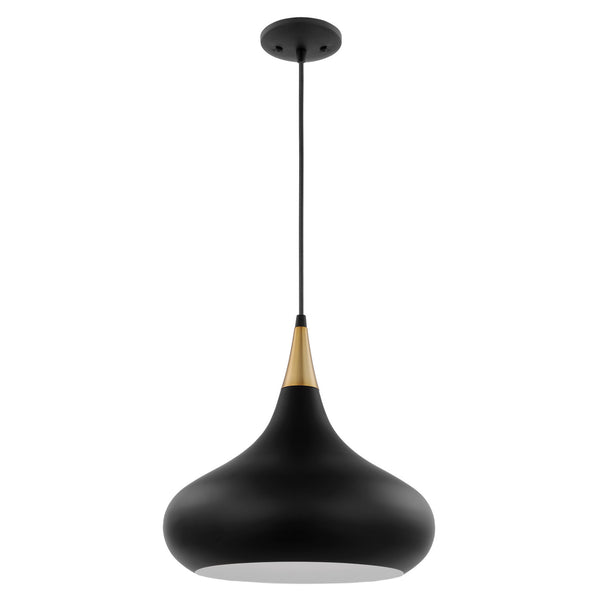 Nuvo Lighting - 60-7513 - One Light Pendant - Phoenix - Matte Black / Polished Nickel from Lighting & Bulbs Unlimited in Charlotte, NC
