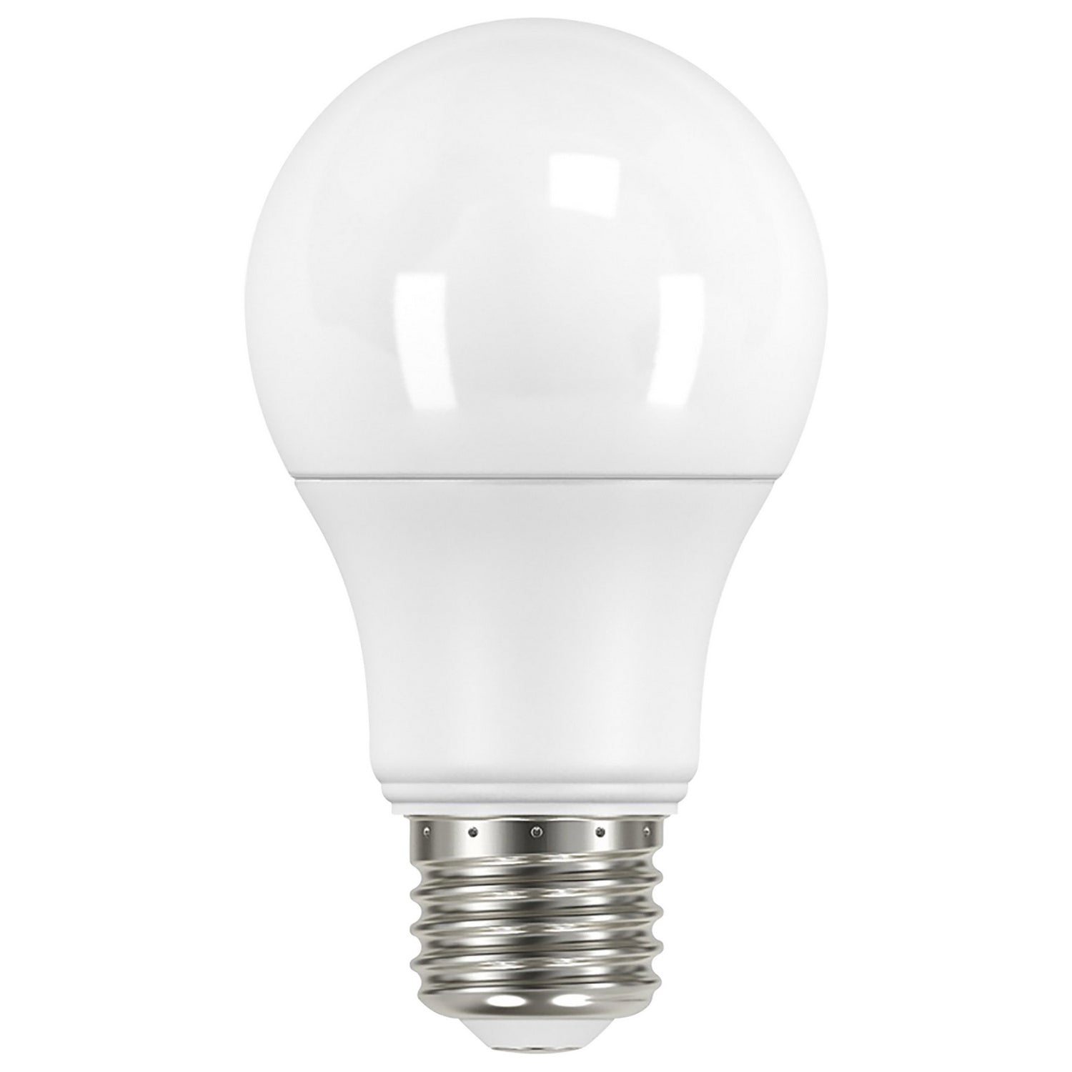 Satco - S11451 - Light Bulb - Frost from Lighting & Bulbs Unlimited in Charlotte, NC