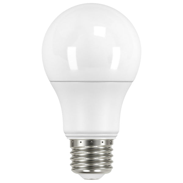 Satco - S11451 - Light Bulb - Frost from Lighting & Bulbs Unlimited in Charlotte, NC