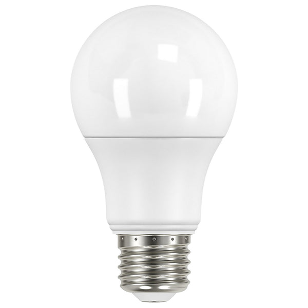 Satco - S11452 - Light Bulb - Frost from Lighting & Bulbs Unlimited in Charlotte, NC