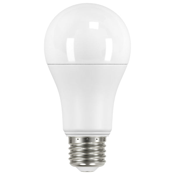 Satco - S11454 - Light Bulb - Frost from Lighting & Bulbs Unlimited in Charlotte, NC