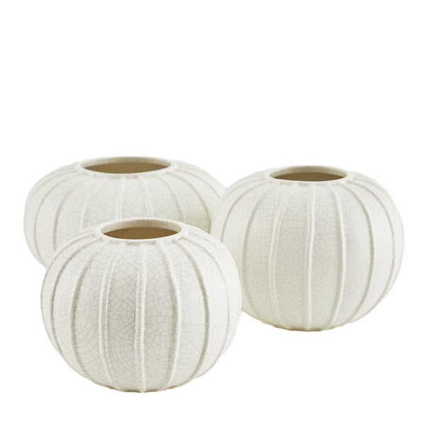 Arteriors - 9313 - Vases, Set of 3 - Pompanos - Ivory Crackle from Lighting & Bulbs Unlimited in Charlotte, NC
