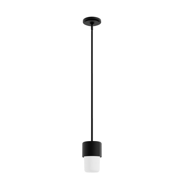 Hunter - 19277 - One Light Mini Pendant - Station - Natural Black Iron from Lighting & Bulbs Unlimited in Charlotte, NC
