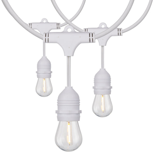 Satco - S8038 - LED String Light - White from Lighting & Bulbs Unlimited in Charlotte, NC