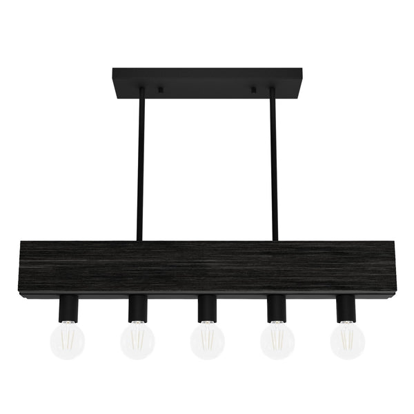 Hunter - 13055 - Five Light Linear Chandelier - Donelson - Natural Black Iron from Lighting & Bulbs Unlimited in Charlotte, NC