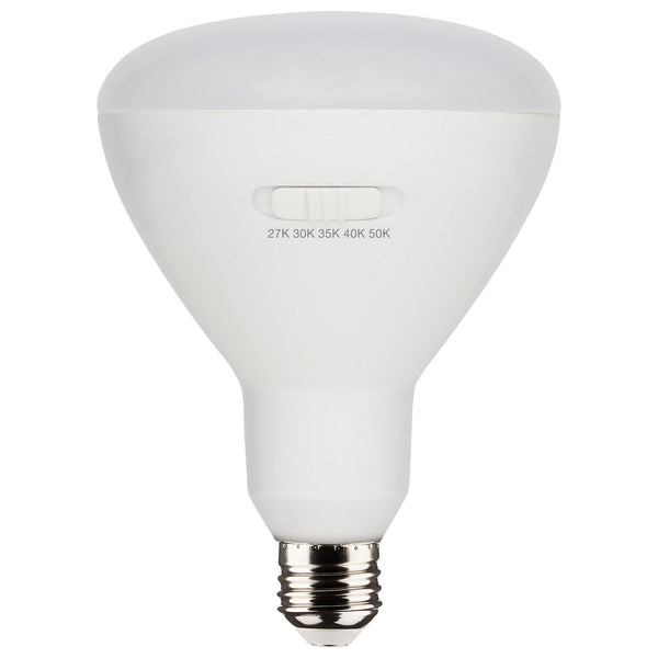 Satco - S11779 - Light Bulb - White from Lighting & Bulbs Unlimited in Charlotte, NC