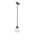 Golden - 8063-M1L BUS - One Light Mini Pendant - Heartwood - Burnt Sienna from Lighting & Bulbs Unlimited in Charlotte, NC