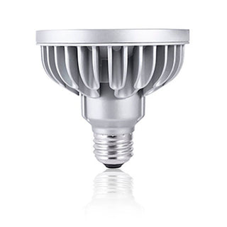 Bulbrite - 777674 - Light Bulb - SORAA - Silver from Lighting & Bulbs Unlimited in Charlotte, NC