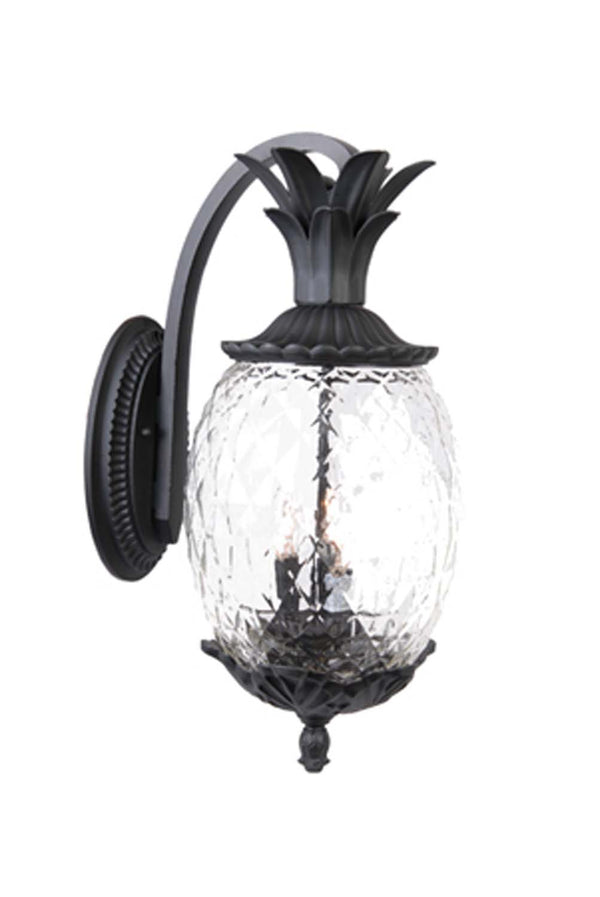 Acclaim Lighting - 7512BK - Three Light Wall Sconce - Lanai - Matte Black from Lighting & Bulbs Unlimited in Charlotte, NC
